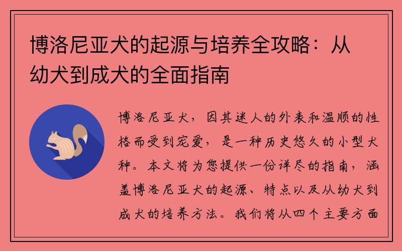 博洛尼亚犬的起源与培养全攻略：从幼犬到成犬的全面指南